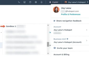 Sandbox HubSpot