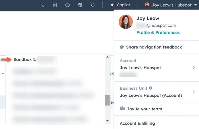 Sandbox HubSpot